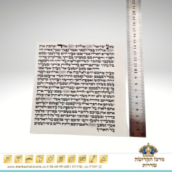 קלף 15 ס”מ – מהודר