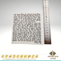 קלף 12 ס”מ (סטנדרט) – כשר לכתחילה