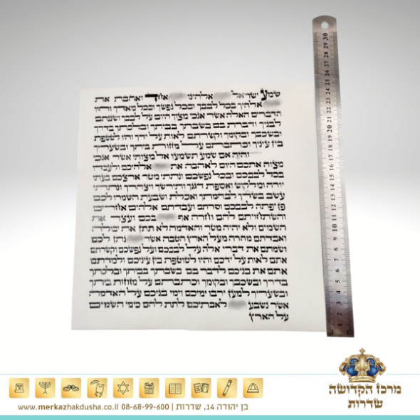 קלף 25 ס"מ – מהודר