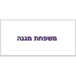 שלט מגנט לדלת בעיצוב עצמי